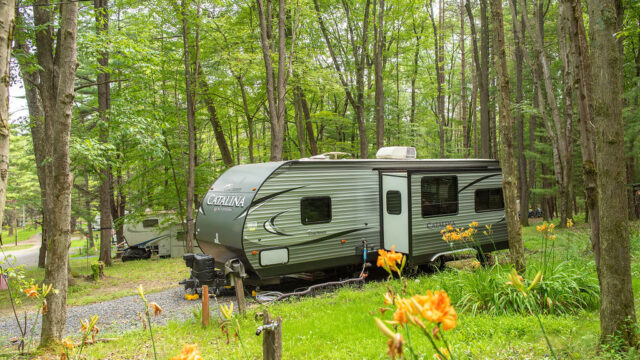 Colors of the Forest camper