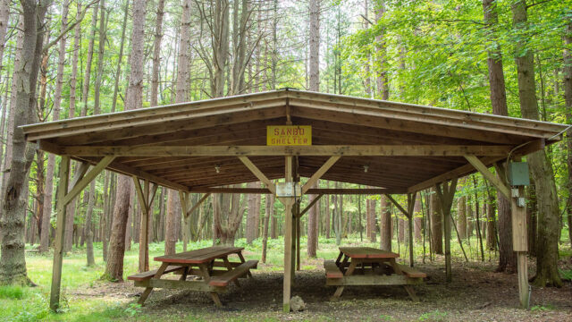 Colors of the Forest pavilion