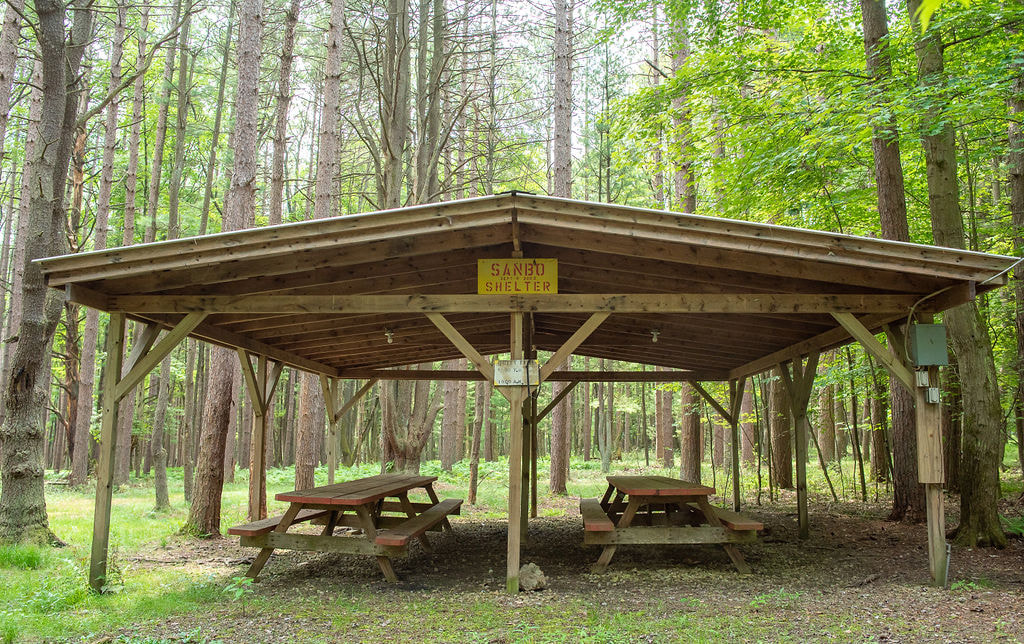 Colors of the Forest pavilion