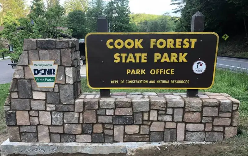 Cook Forest #4