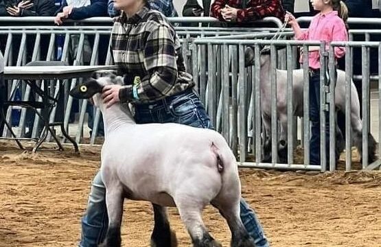 JeffCoFair Lamb Tayler Rafferty