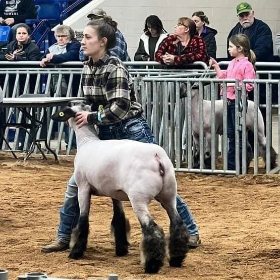 JeffCoFair Lamb Tayler Rafferty