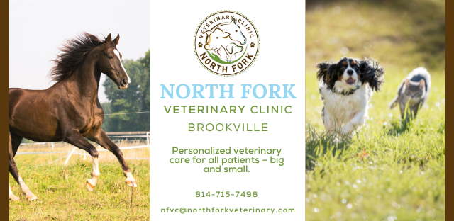 North Fork Veterinary Clinic banner