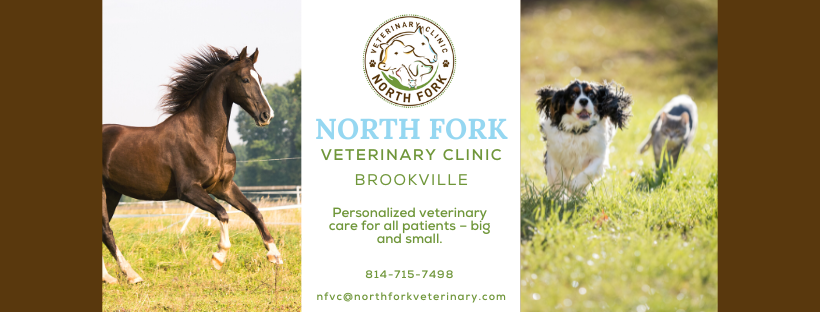 North Fork Veterinary Clinic banner